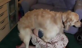 sexo de cachorro,animal fode garota